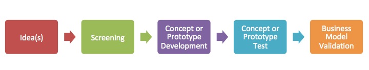 Idea Validation Process